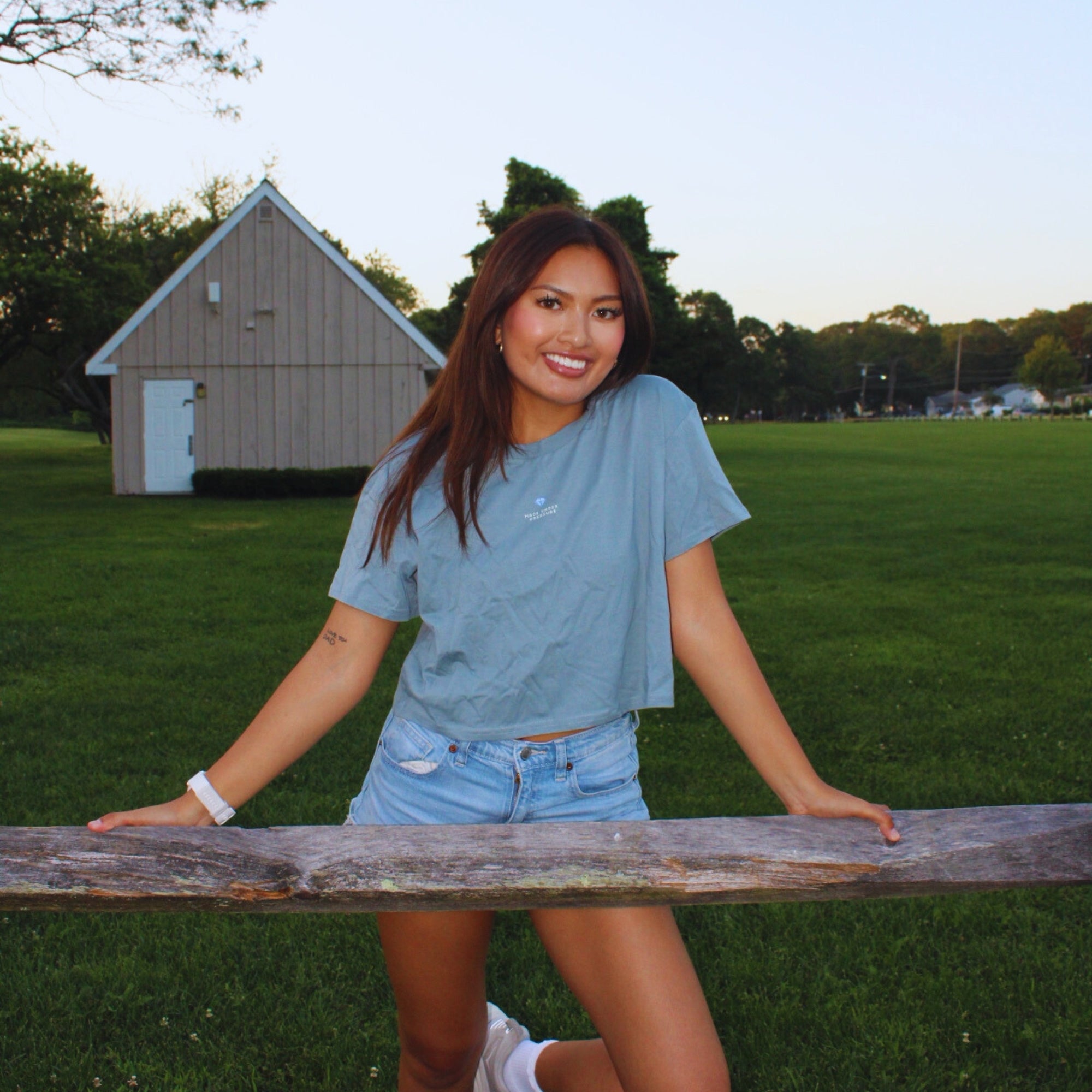 Diamond Crop Top